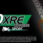 Αλυσίδα 520 XRE 114  XW RING RK ΙΑΠΩΝΙΑΣ
