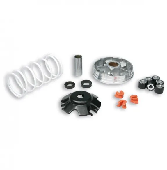 MAL-519019 MALΒΑΡΙΑΤΟΡ MULTIVAR 2000 APRILIA PIAGGIO 50 2T - Image 1